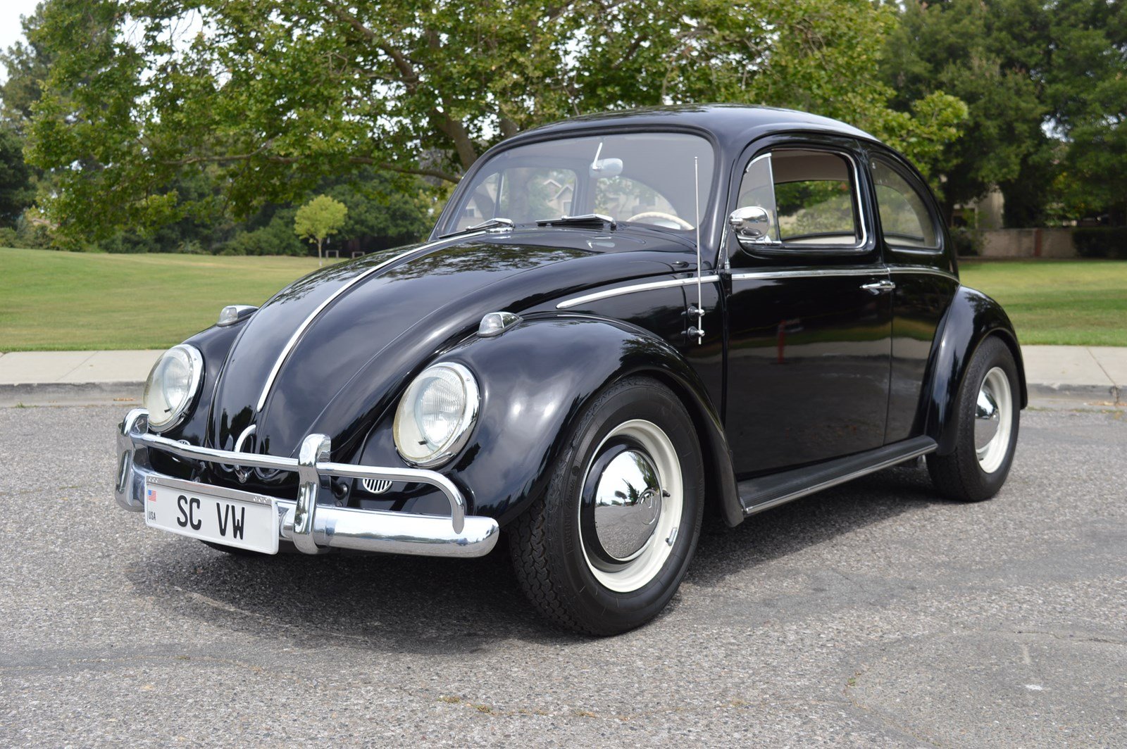 Volkswagen beetle pictures